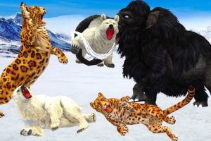 Black Mammoth Vs Mountain Leopard Fight White Polar Bears Saved by Mammoth Elephant Epic Battle