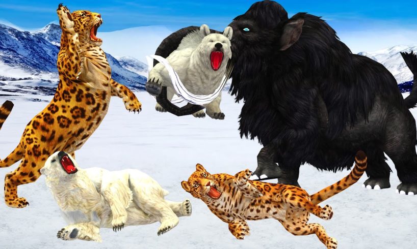 Black Mammoth Vs Mountain Leopard Fight White Polar Bears Saved by Mammoth Elephant Epic Battle