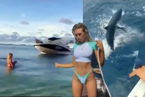 Boat Fails and Wins and Babes - Best of The Week