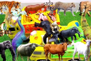 CUTE ANIMALS Cow, Buffalo, Lion, Monkeys, Elephant  | Learn Animals Name | Animals Video | cow video