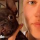 Cachorro pequeñito finalmente aprende a ladrar muy fuerte | Pequeño y Valiente | El Dodo