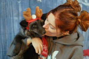 Christmas gifts for the Saveafox animals! 🎄🎁🎅