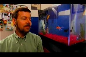 Comet the World's Smartest Goldfish on Animals At Work