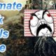 Dark Souls Rage Compilation