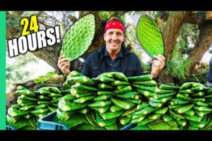 Eating ONLY CACTUS for 24 Hours in MEXICO!! (I Almost Died!!)