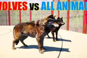 Far Cry 5 Arcade - Animal Fight: Wolf vs All Animals Tag Team Battles
