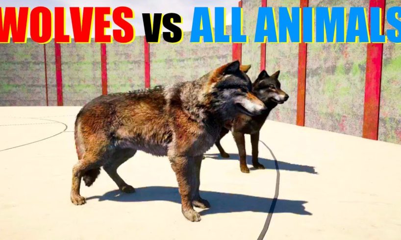 Far Cry 5 Arcade - Animal Fight: Wolf vs All Animals Tag Team Battles