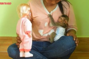 Funny Animals | Tiny Baby Nina Playing Beautiful Baby Doll