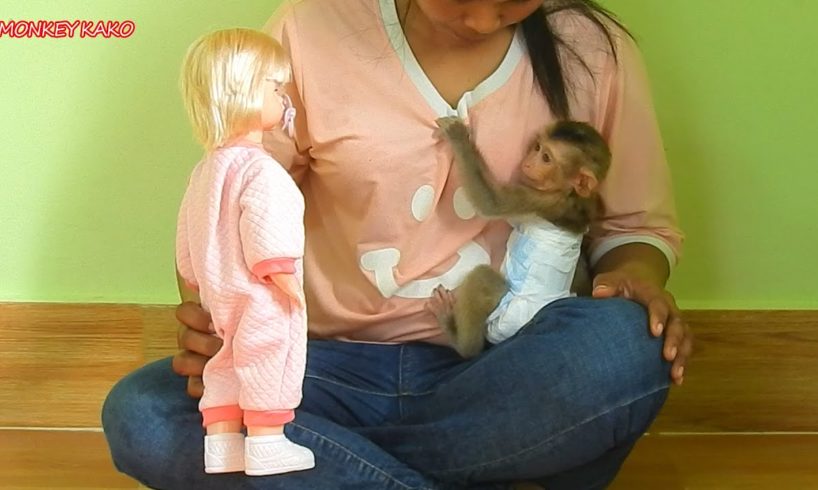 Funny Animals | Tiny Baby Nina Playing Beautiful Baby Doll