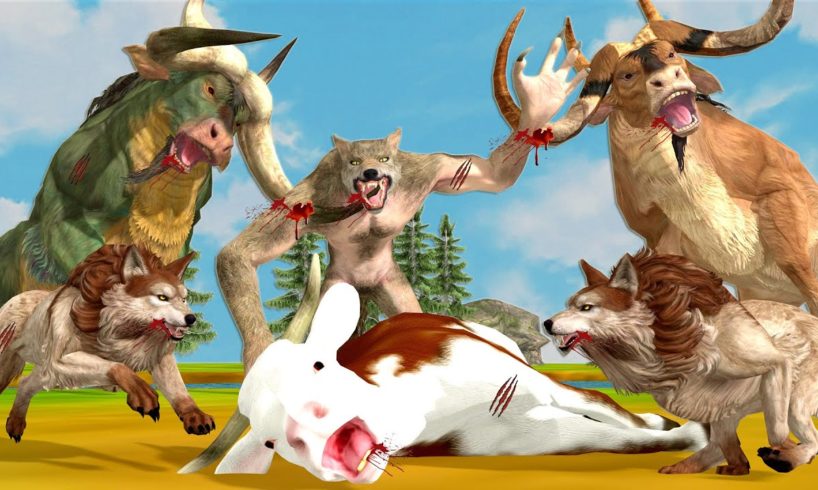 Gaint Wolf Vs Gaint Bull Saved Cartoon Cows Saved By Giant Bulls Giant Animal Fights Animal Revenge