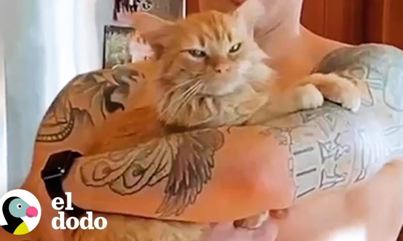 Gato rescatado del estacionamiento ama a su nuevo papá | Cat Crazy | El Dodo