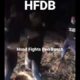 #HFDB4 Enforcer vs Red Devil #highlights #boxing #mma