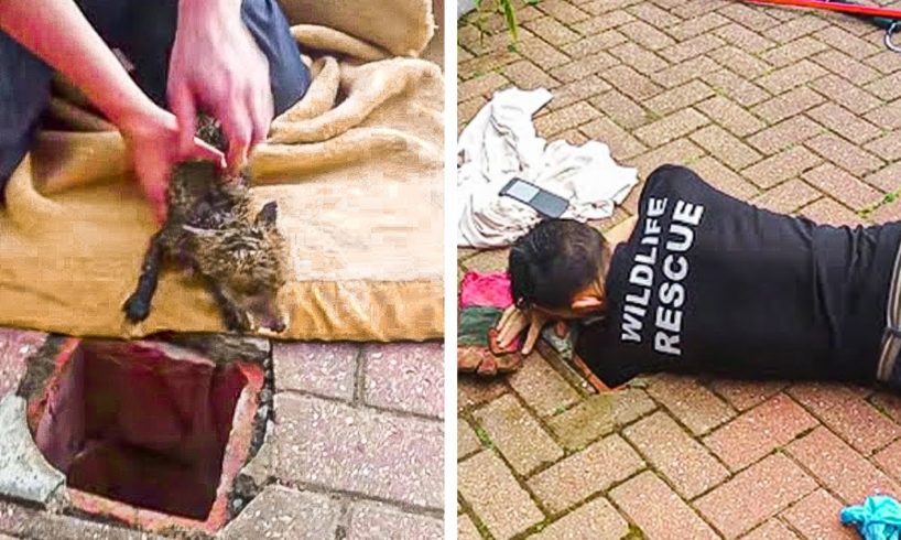 He Reached Into a Drain To Rescue a Trapped Creature, But Wait Till You See What’s Behind Him