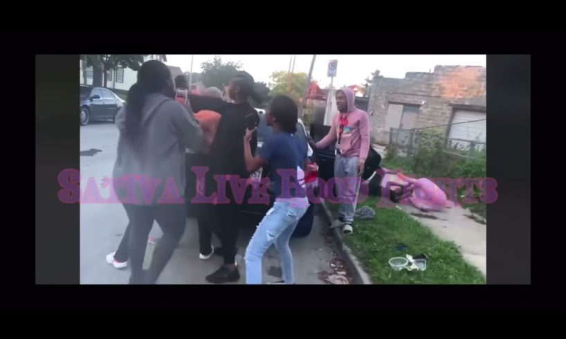 Hood Fights || Black Girl Fights