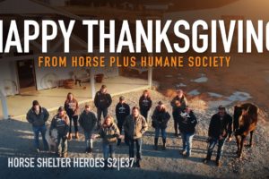 Horse Shelter Heroes | S2E37 | Full Episode
