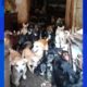 Hundreds of animals rescued in rural Tennessee hoarding case