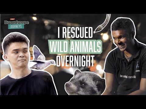 I rescued wild animals overnight! | ACRES