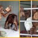 🦧 Infant Orangutans Rescued From Cages ❤️ Life Comedy