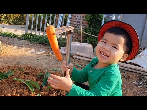 Loc cute finds carrots to feed cute bunnies animals home