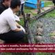 Minister of State Desmond Lee releases rescued animals