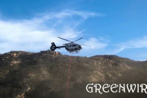 Moment Injured Horse Is Airlifted To Safety By Rescue Chopper In California