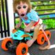 Monkey Baby Bon Bon rides a motorbike and plays in the park with the puppy