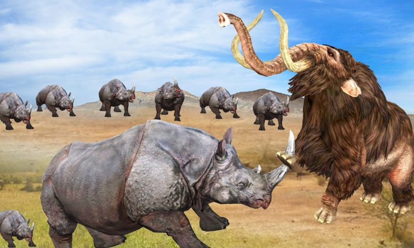 Mother Rhinoceros Vs Woolly Mammoth Fight to save Baby Rhinoceros - Animal Fights Videos