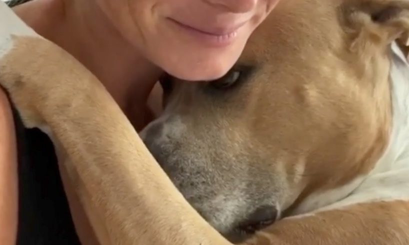 No one can escape this rescued dog's hugs