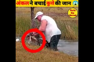 Old man rescue dog from alligator |dog rescue |animal rescue | explained in hindi |#shorts#ytshorts