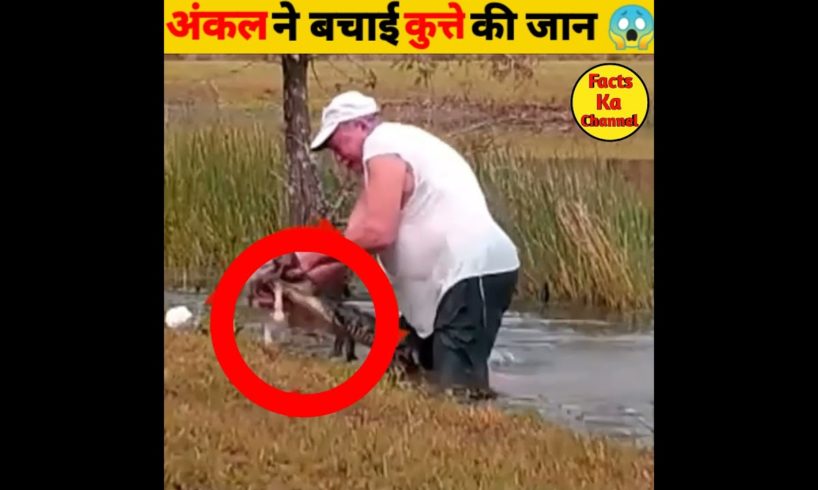 Old man rescue dog from alligator |dog rescue |animal rescue | explained in hindi |#shorts#ytshorts