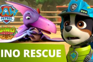 PAW Patrol Dino Rescue Mini Episode! - Pups Rescue a Dino Egg - PAW Patrol Official & Friends