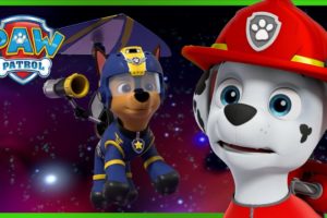 PAW Patrol Pups Rescue Each Other! 🐶 | PAW Patrol | Cartoons for Kids Compilation