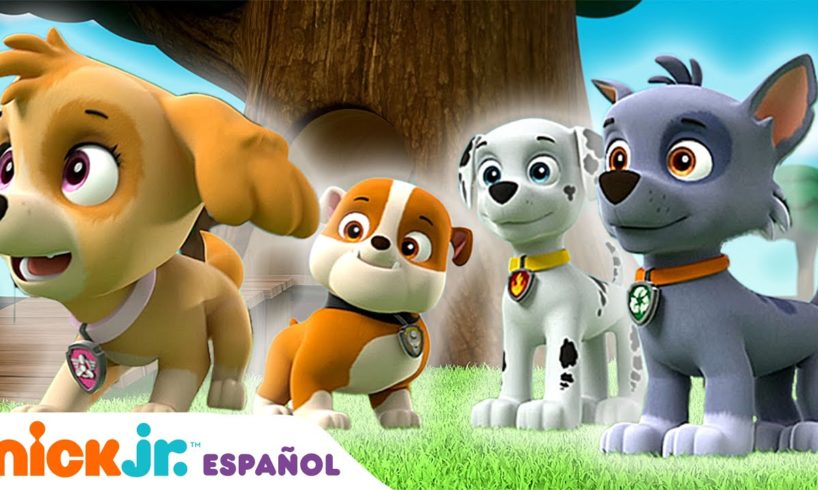 PAW Patrol | ¡Los cachorros salvan el día! Compilación de 20 minutos | Nick Jr. en Español