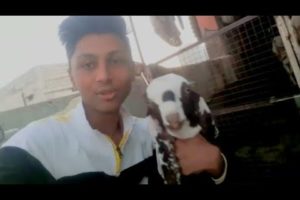 Playing and enjoying with animals 😀 || AYAZ vlog    #animals #animalslover #youtube #vlogger #vlogs