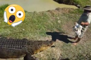 RIDING an ALLIGATOR??😱😱NEAR DEATH EXPERIENCE  CAPTURED by GoPro compilation