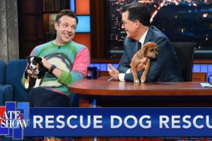 Rescue Dog Rescue with Jason Sudeikis