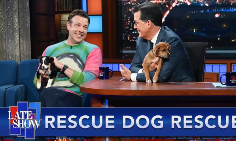 Rescue Dog Rescue with Jason Sudeikis