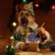 Santa's Elves - Dogs and Cats with Human Hands Making Toys - Freshpet