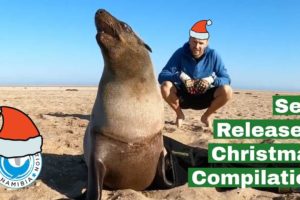 Seal Releases - Christmas Compilation