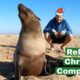 Seal Releases - Christmas Compilation
