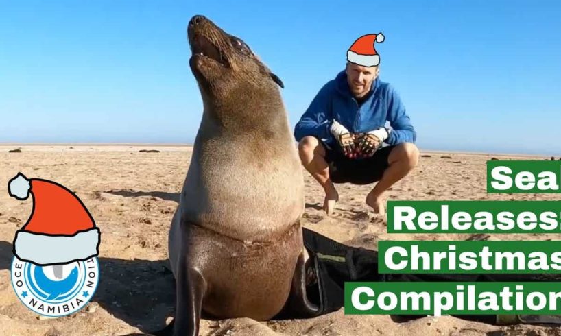 Seal Releases - Christmas Compilation