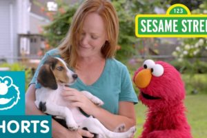 Sesame Street: Elmo Helps a Puppy Find a Home with Dodo Kids!