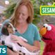 Sesame Street: Elmo Helps a Puppy Find a Home with Dodo Kids!