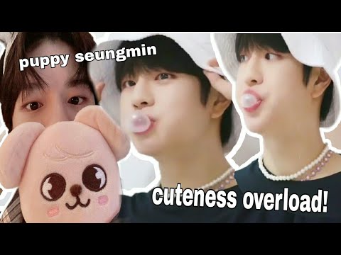 Seungmin being a Cutest Puppy | Soft hour uwu