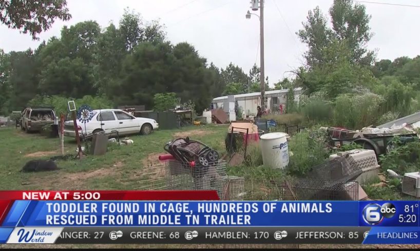 Toddler found in cage, hundreds of animals rescued from Middle TN trailer; three adults arrested