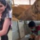 🐶 Top 10 inspiring animal rescues 🐶