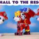 Toy Paw Patrol Marshall To The Rescue Stories