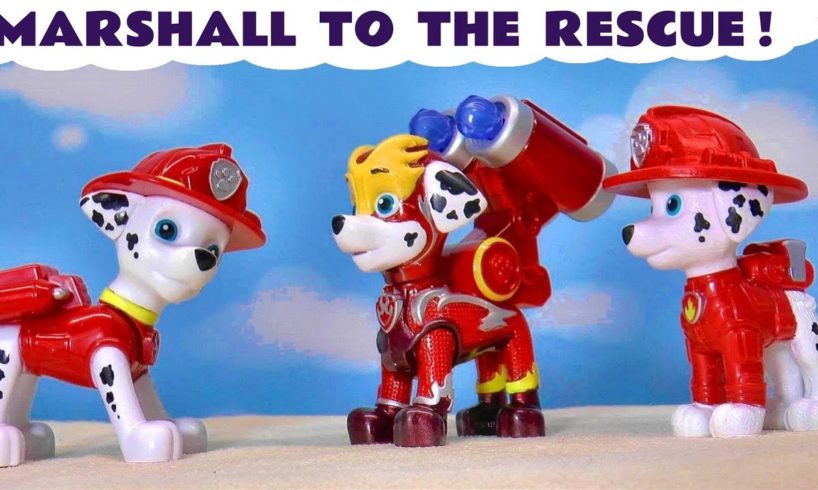 Toy Paw Patrol Marshall To The Rescue Stories
