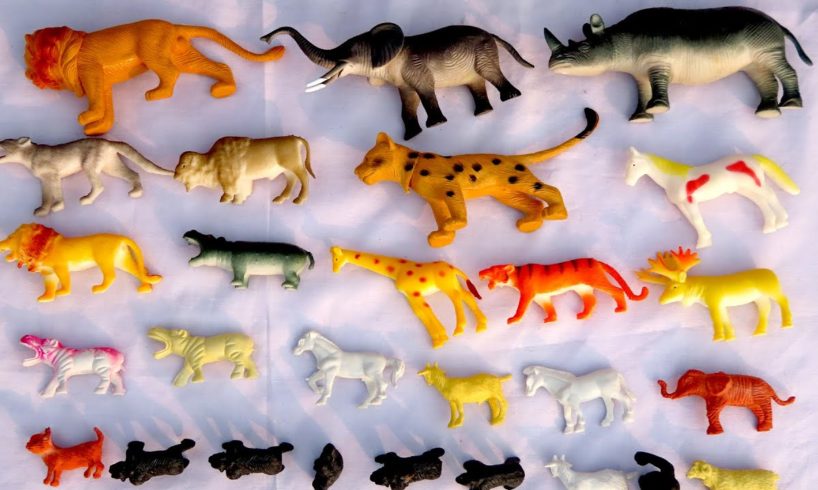 Unboxing Of Plastic Animal Toys Order From Flipkart || Animals Collection Lion,Elephant,Tiger etc