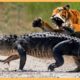 Wild Animal Fights Caught on Video | Tiger Vs Crocodile Who Will Win✨